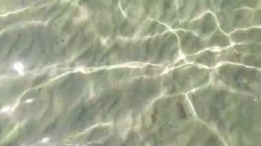 Tropik bir adanın etrafındaki saydam deniz suyu