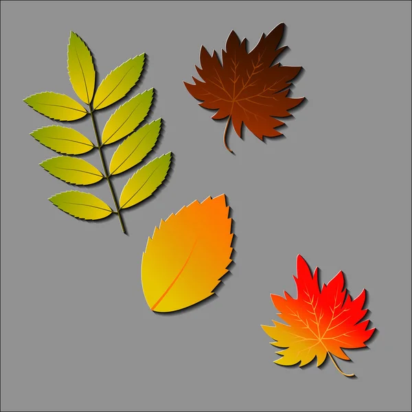 Leaves icon vector set isolated on white background. Various shapes of green leaves of trees and plants. Elements for eco — Stock Vector