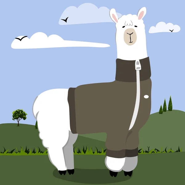 No drama llama linda tarjeta con llama de dibujos animados. No probLlama cita motivacional e inspiradora. Lindo dibujo de llama con letras, ilustración vectorial dibujada a mano para tarjetas, camisetas, casos . — Vector de stock