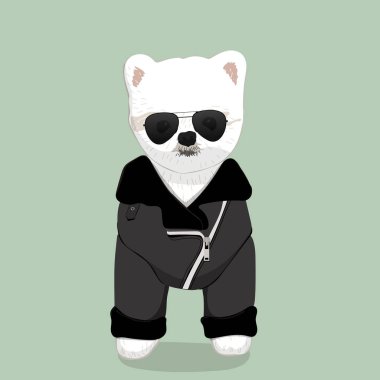 pembe kurdele ile poz sevimli beyaz havanese köpek yavrusu