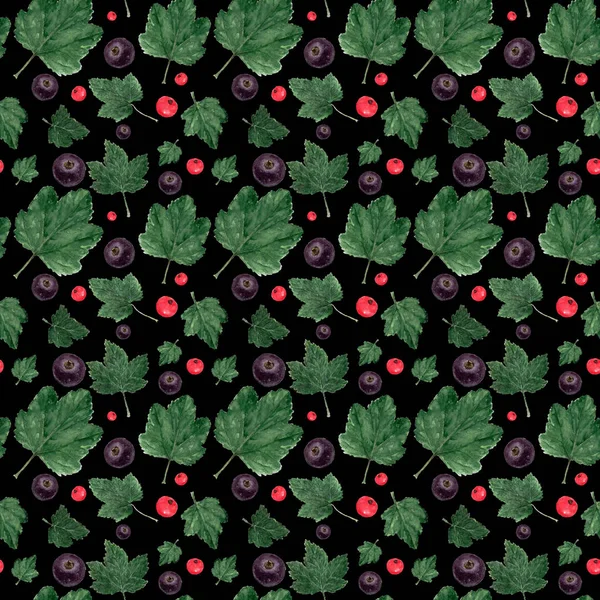 수채화 패턴입니다 빨간색과 검은색 건포도 열매와 검정에 손으로 — 스톡 사진