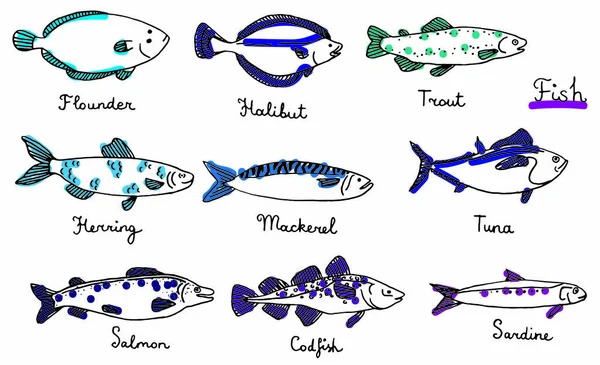 鱼的种类 手绘的矢量插图 沙丁鱼 比目鱼 比目鱼 金枪鱼 — 图库矢量图片