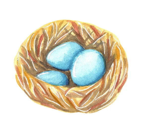 Ein Nest Mit Türkisblauen Eiern Von Rotkehlchen Handgezeichnete Aquarell Illustration — Stockfoto