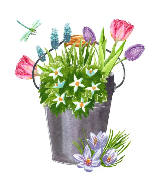 Beautiful Early Spring Garden Flowers Bouquet Bucket Hand Drawn Watercolor — Stock Photo, Image