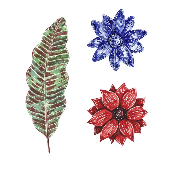 Acuarela Dibujada Mano Conjunto Ilustración Flores Tropicales Azules Rojas Hojas —  Fotos de Stock