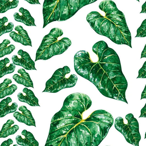 Padrão Sem Costura Com Exótico Anthurium Folhas Verdes Desenhado Mão — Fotografia de Stock