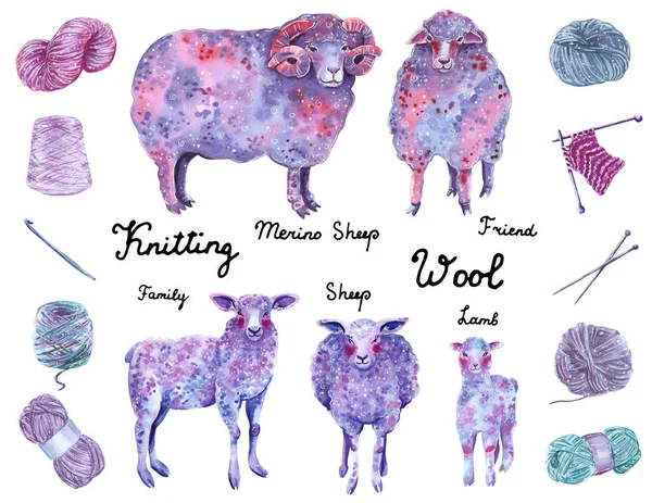 牧羊的家庭 紫色和粉红色的颜色 与一套针织元素 手绘水彩插图 — 图库照片