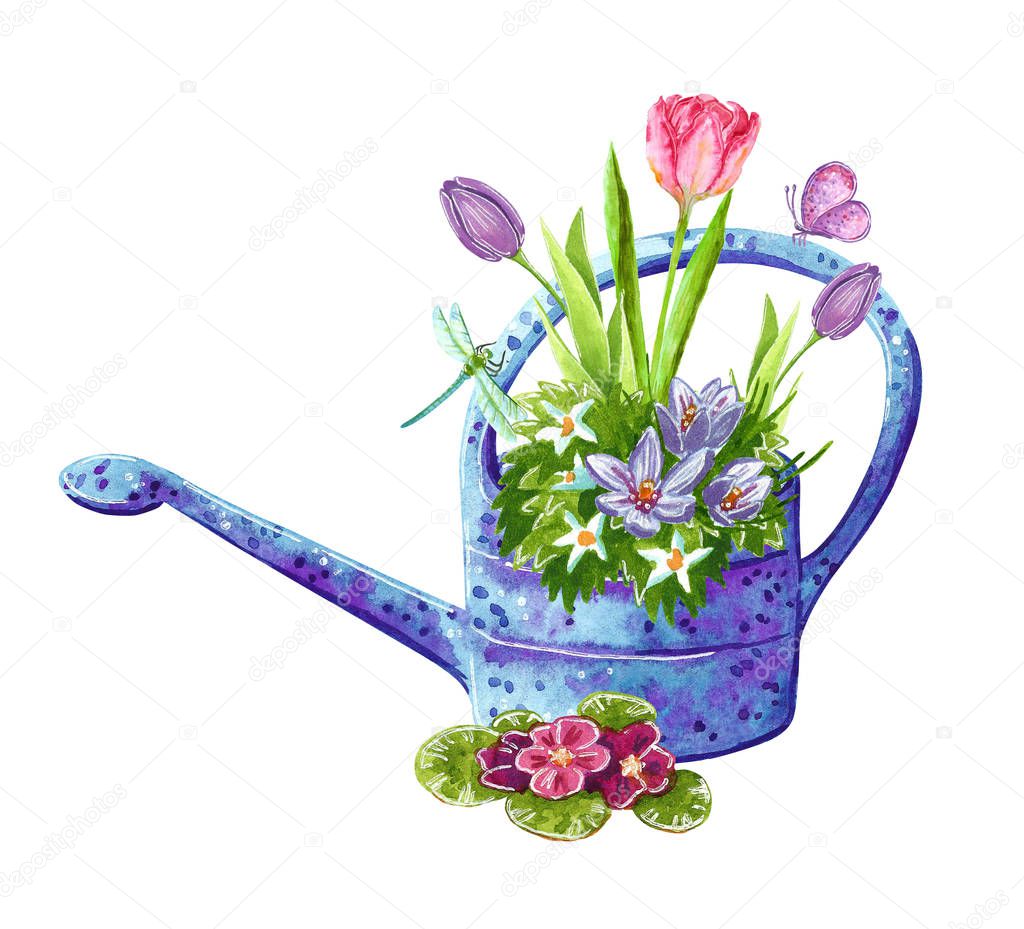 Beautiful early spring garden flowers bouquet in a watering can, hand drawn watercolor illustration isolated on white