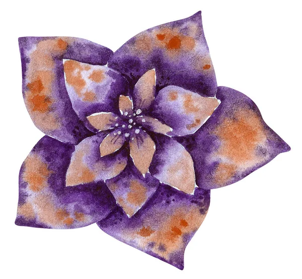 紫のダリアのファンタジー 手描き水彩イラスト白 エキゾチックな花で隔離 — ストック写真