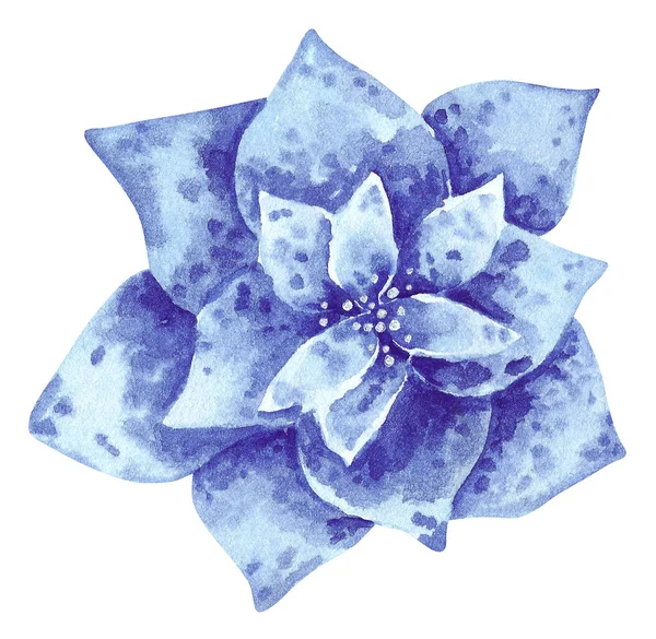 Fantasía Azul Dahlia Ilustración Acuarela Dibujada Mano Aislada Flor Blanca — Foto de Stock
