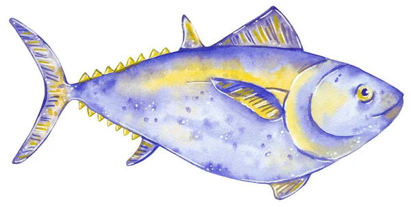 Illustration Aquarelle Dessinée Main Poisson Isolé Sur Blanc Thon — Photo