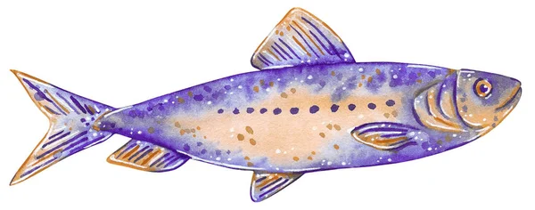 Beyaz Izole Bir Balık Çizilmiş Suluboya Çizimi Sardalya — Stok fotoğraf