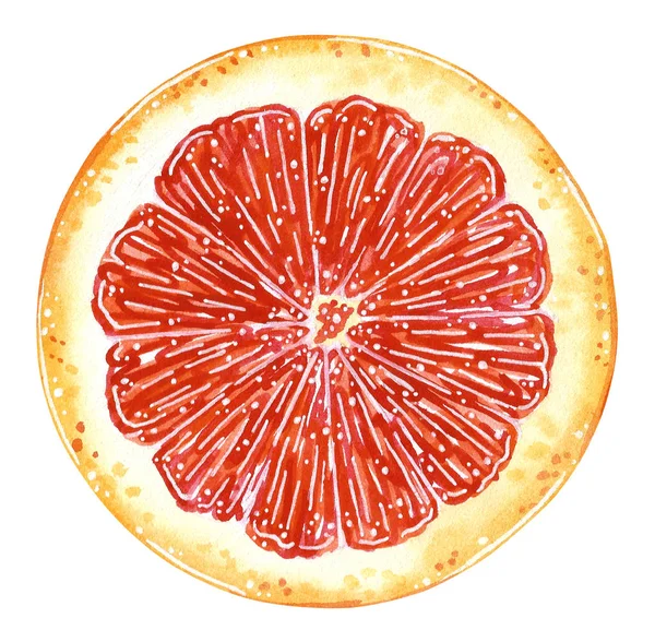 Runde Scheibe Grapefruit Cartoon Stil Handgezeichnete Aquarell Illustration Isoliert Auf — Stockfoto