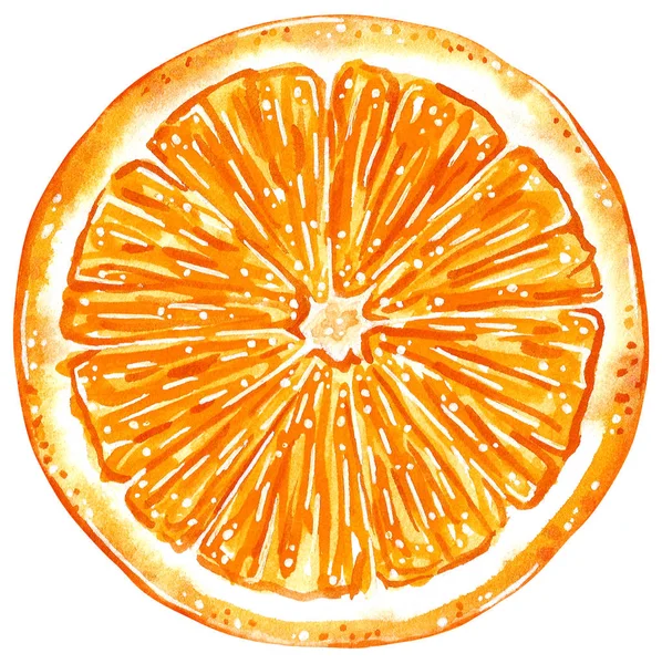 Tranche Orange Ronde Illustration Aquarelle Dessinée Main Isoler Sur Blanc — Photo