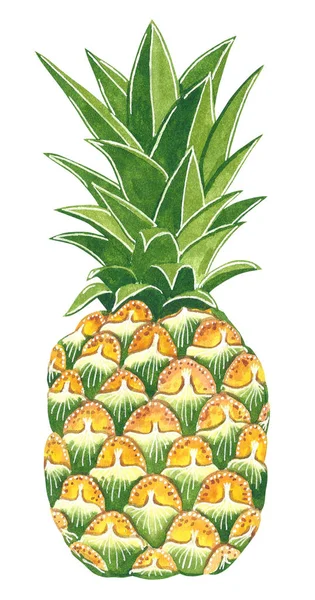 Ananas Tecknad Stil Handritad Akvarell Illustration Isolerade Vit — Stockfoto