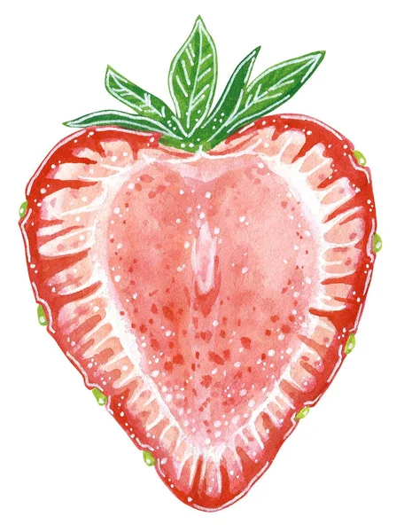 Strawberry Skärs Hälften Tecknad Stil Hand Dras Akvarell Illustration Isolerade — Stockfoto