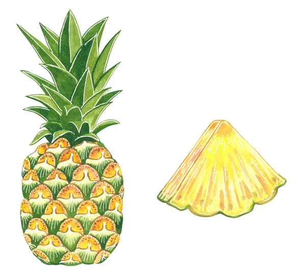 Ananas Set Tecknad Stil Handritad Akvarell Illustration Isolerade Vit — Stockfoto