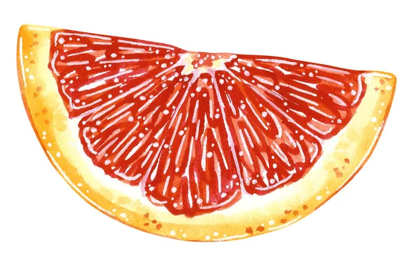 Een Half Schijfje Grapefruit Cartoon Stijl Aquarel Illustratie Hand Getrokken — Stockfoto