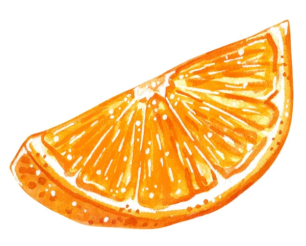 Quater Orange Slice Hand Drawn Watercolor Illustration Isolate White — Stock Photo, Image