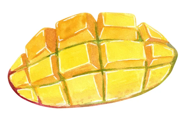 Mango Cortado Segmentos Ilustración Acuarela Dibujada Mano Aislada Blanco Estilo — Foto de Stock