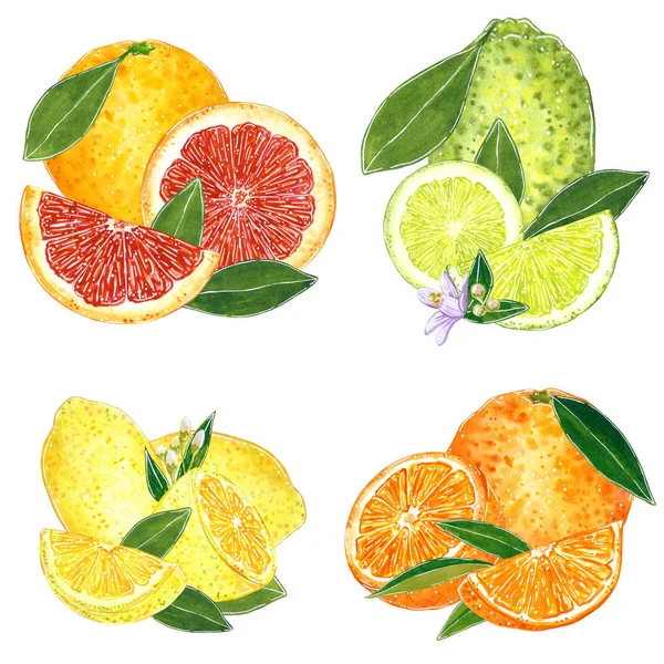 Set Four Citrus Illustration Jam Juice Summer Menu Cocktail Recipe — Stock Photo, Image