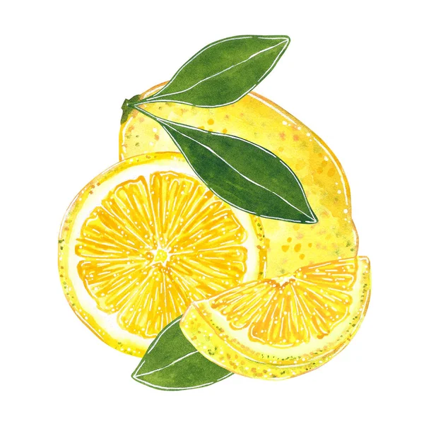 Zitrone Mit Blättern Für Marmelade Saft Sommermenü Handgezeichnete Aquarell Illustration — Stockfoto