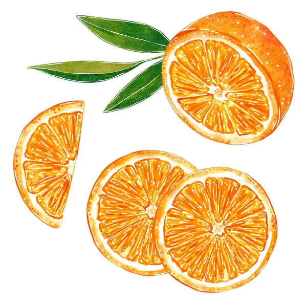 Orangen Mit Blättern Für Marmelade Saft Sommermenü Handgezeichnete Aquarell Illustration — Stockfoto