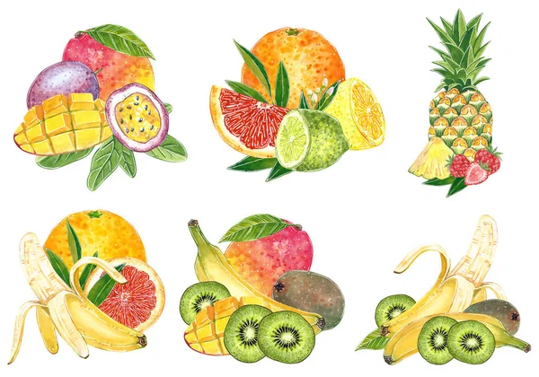 Ensemble Six Illustrations Fruits Exotiques Pour Confiture Jus Menu Été — Photo