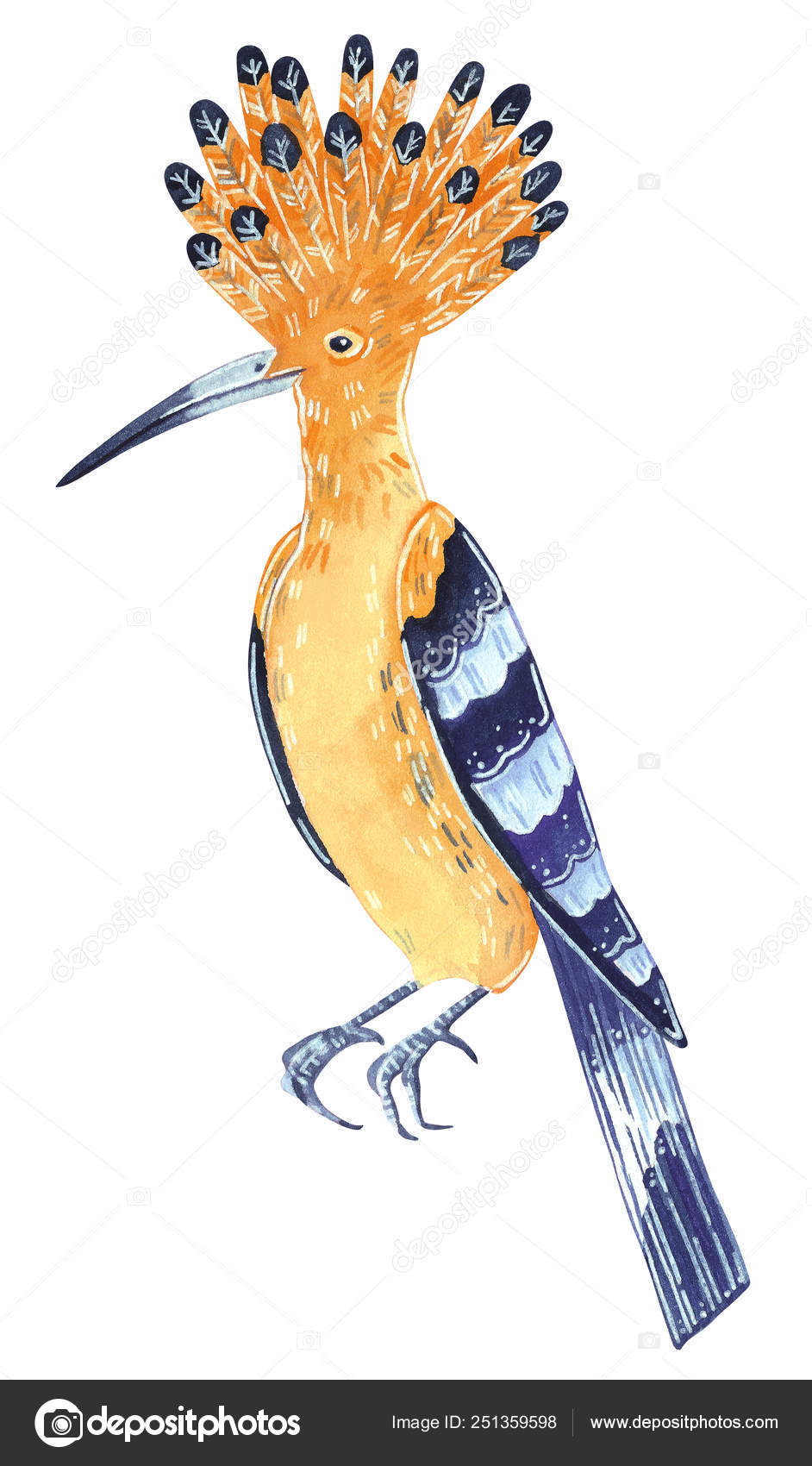 hoopoe wildbird