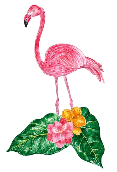 Tropical Collage Liści Kwiatów Różowe Flamingi Ilustracja Akwarela — Zdjęcie stockowe