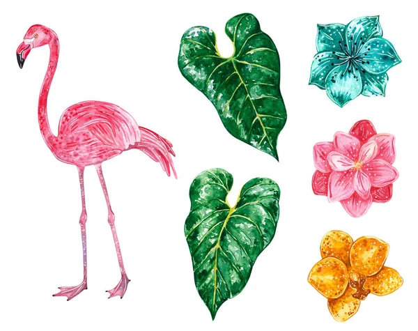 热带设置与叶子 花和粉红色的火烈鸟 手绘水彩例证 — 图库照片