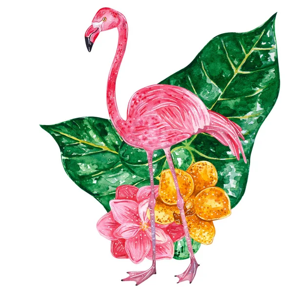 Tropical Collage Liści Kwiatów Różowe Flamingi Ilustracja Akwarela — Zdjęcie stockowe