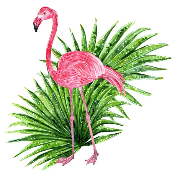 热带拼贴画与叶子和粉红色的火烈鸟 手绘水彩例证 — 图库照片
