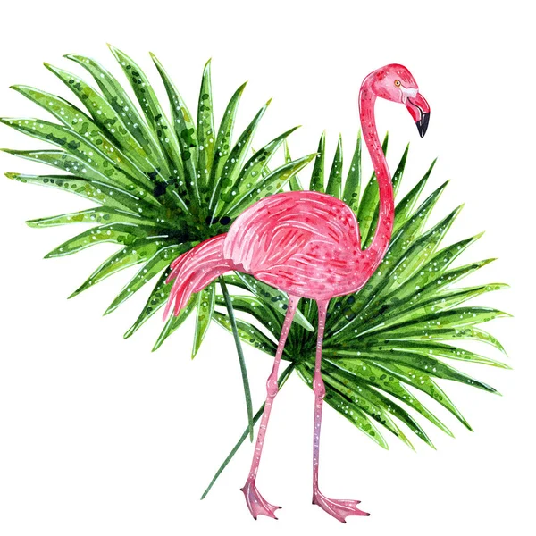 Tropical Collage Liści Różowe Flamingi Ilustracja Akwarela — Zdjęcie stockowe