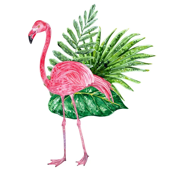 Tropical Collage Liści Różowe Flamingi Ilustracja Akwarela — Zdjęcie stockowe