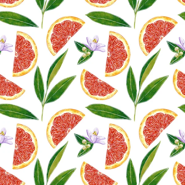 Red grapefruit seamless pattern, hand drawn botanical illustration isolated on white.
