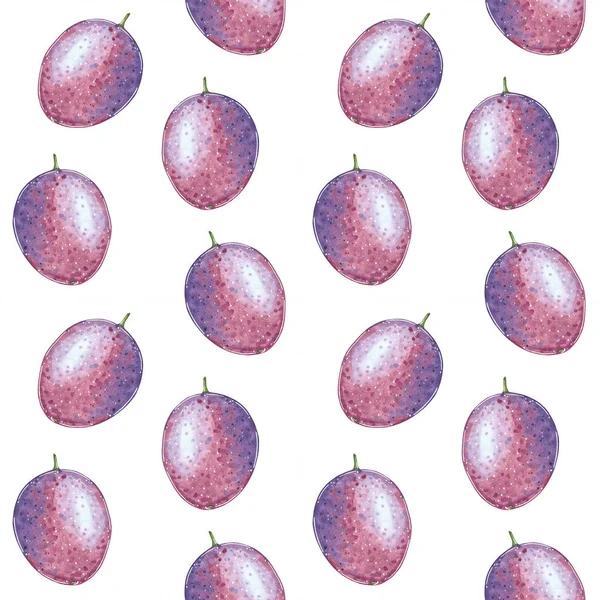 Passionsfrukt Eller Plommon Sömlösa Mönster Hand Dras Botaniska Illustration Isolerade — Stockfoto