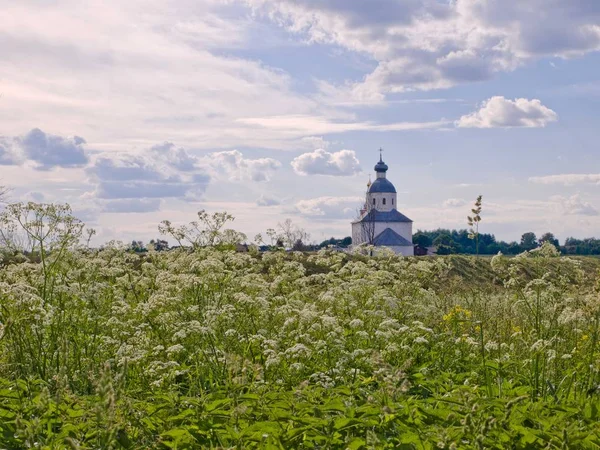 Iglesia Con Cúpula Azul Arquitectura Tradicional Suzdal Rusia —  Fotos de Stock