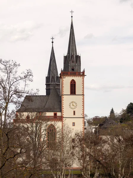 Bingen Németország Április 2018 Kilátás Templom Hegyek Tavasszal — Stock Fotó