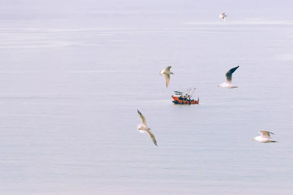 Streszczenie Minimalny Surrealistyczne Tło Łódka Żagle Cicho Środku Morza Pierwszym — Zdjęcie stockowe