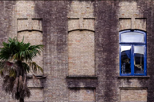 Vieux Mur Briques Avec Trois Fenêtres Deux Fausses Une Avec — Photo