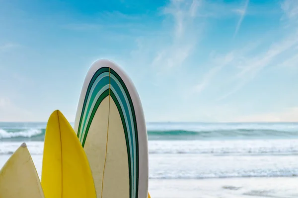 Deski Surfingowe Stoisko Rzędu Przed Falami Błękitne Niebo Pojęcie Wypoczynek — Zdjęcie stockowe
