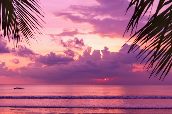 Puesta de sol púrpura en la playa. Vista de la orilla a través de hojas de palma Imagen De Stock