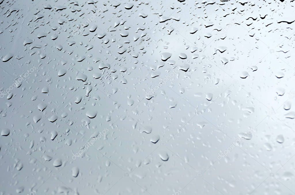 Rain drops on glass. 