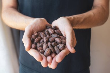 Çiftçi elleri kavrulmuş kakao çekirdeğini tutuyor. - Evet. Kakao antioksidan, antidepresan, magnezyum ve diğer eser elementlerin kaynağıdır..