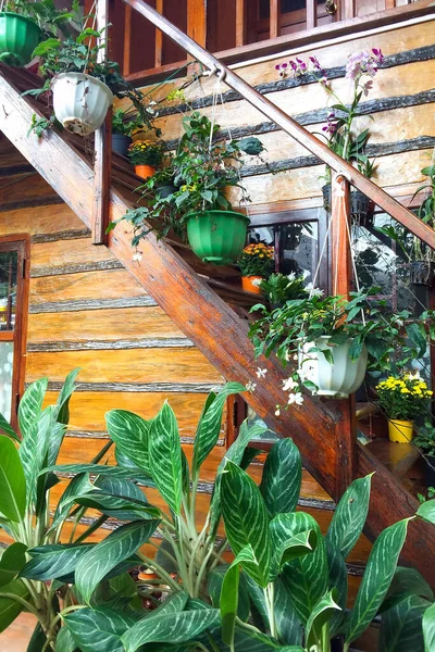Wooden staircase decorated with flowers in hanging pot. Eco-friendly decor in a country house