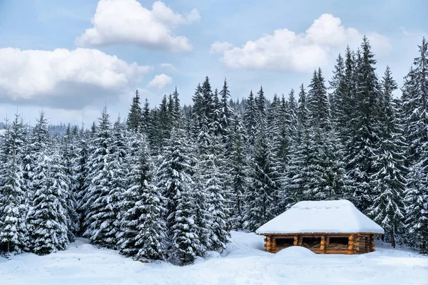 Een Foto Van Een Kleine Hut Gelegen Een Besneeuwd Bos — Stockfoto