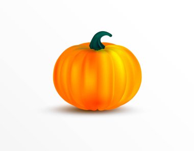 Turuncu kabak vektör çizim. Sonbahar halloween veya Şükran kabak, beyaz arka plan üzerinde izole sebze grafik simge