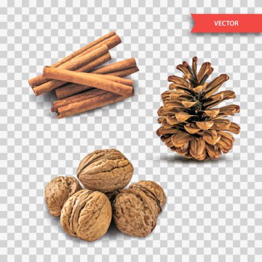 .Yığın veya kuru tarçın kabuğu veya çubuk, ceviz ve şeffaf arka plan üzerinde izole çam kozalağı yığını. Yeni yıl veya Noel dekor nesneleri kümesi. Gerçekçi vektör çizim.