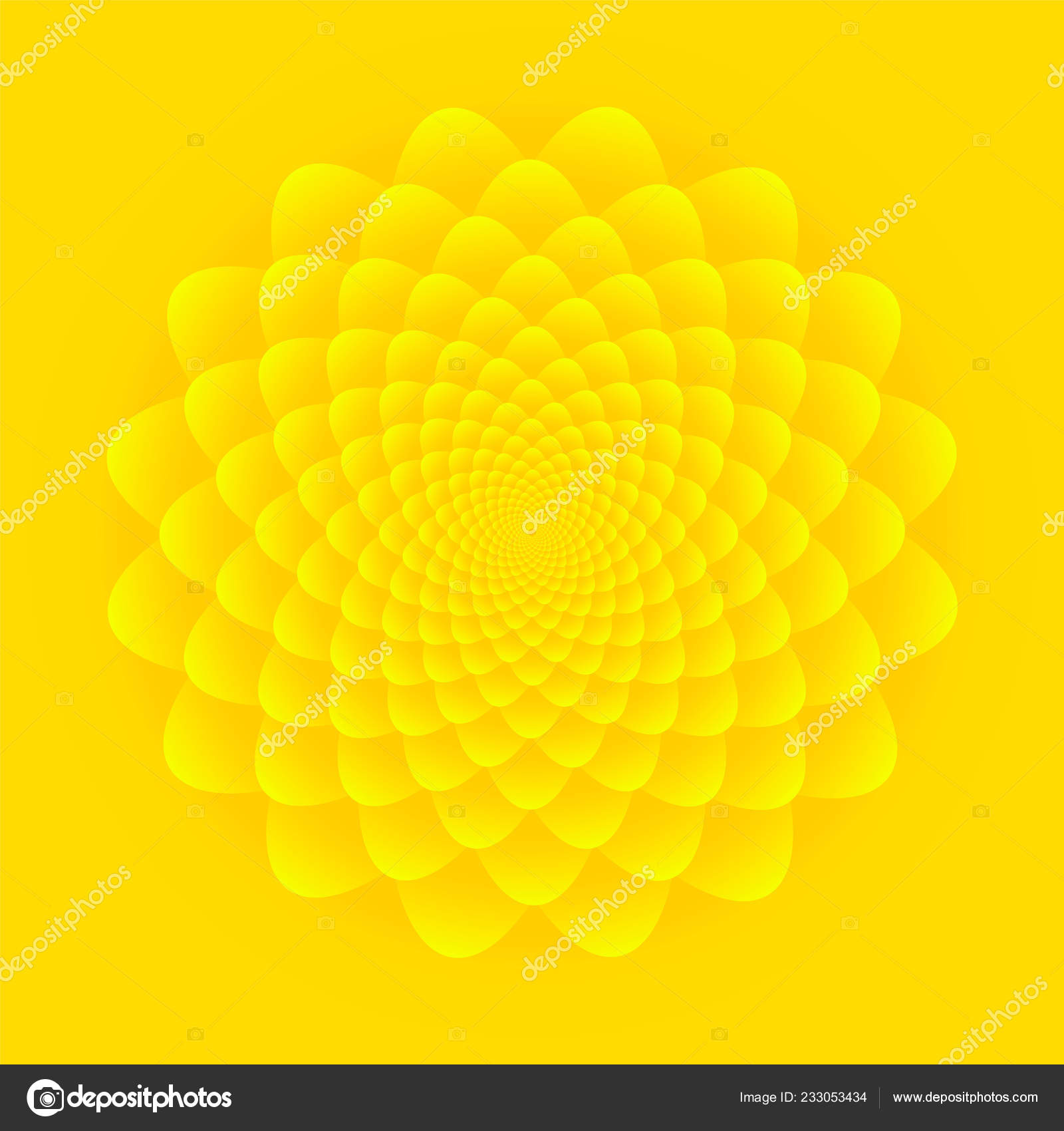 Sunflower Inflorescence Abstract Floral Pattern Design Bright Yellow  Background Stock Vector Image by ©tanya69 #233053434
